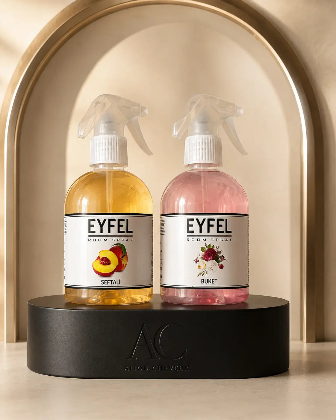 Duo Brumes Eyfel — mise en scène studio AC